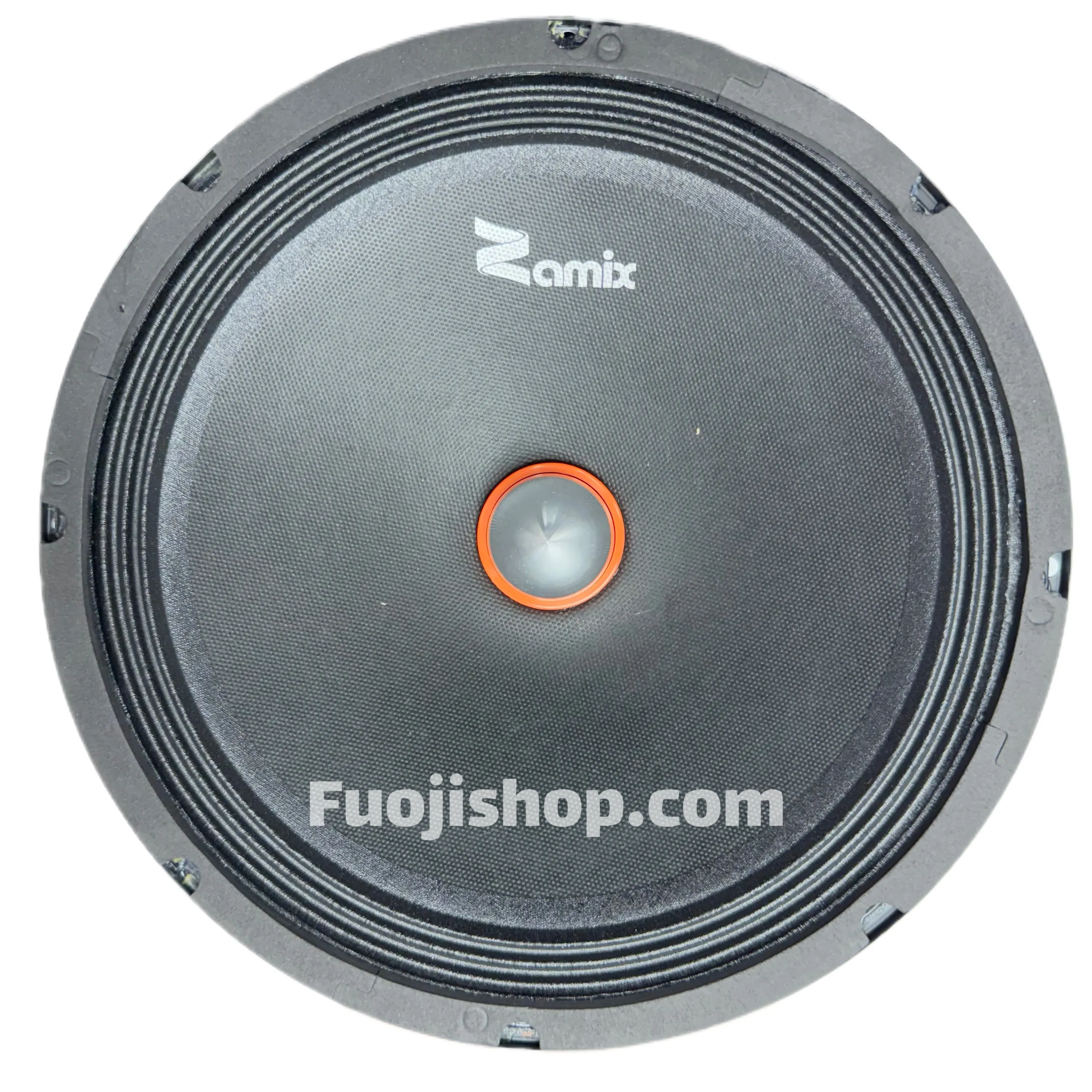 میدرنج 10 اینچ زامیکس ZAMIX ZC1150 500W